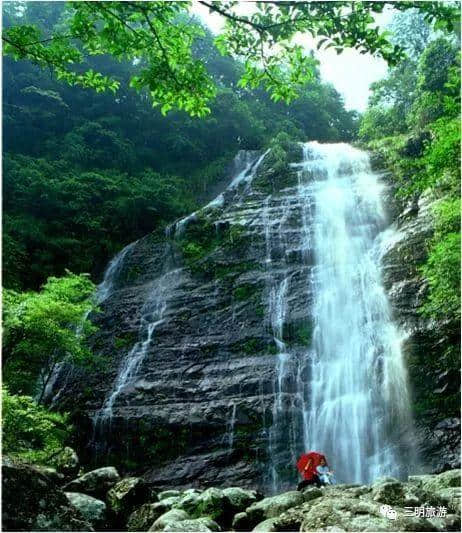 建宁春天最全赏花攻略！万紫千红看花海，相约建宁踏春来