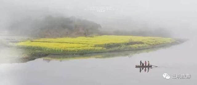 建宁春天最全赏花攻略！万紫千红看花海，相约建宁踏春来