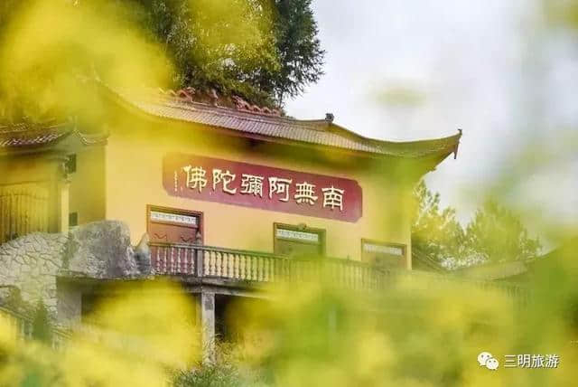 建宁春天最全赏花攻略！万紫千红看花海，相约建宁踏春来