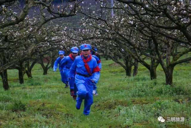 建宁春天最全赏花攻略！万紫千红看花海，相约建宁踏春来