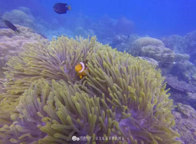 热浪岛，看不腻的蓝色大海