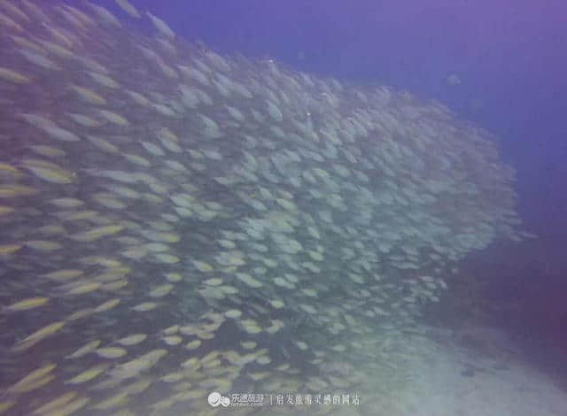 热浪岛，看不腻的蓝色大海