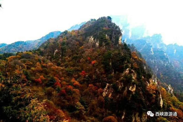 宜居山城西峡，涵养绿水青山竟造就金山银山，奥妙何在？