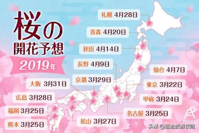 日本东京6日自由行干货，深度游樱花季！