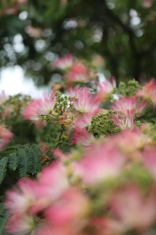 「聚焦」经历了140年来最热6月，这个夏天你还不去大连这些凉岛？