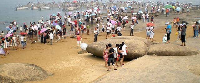 夏季日照旅游的必到旅游景点：刘家湾赶海园