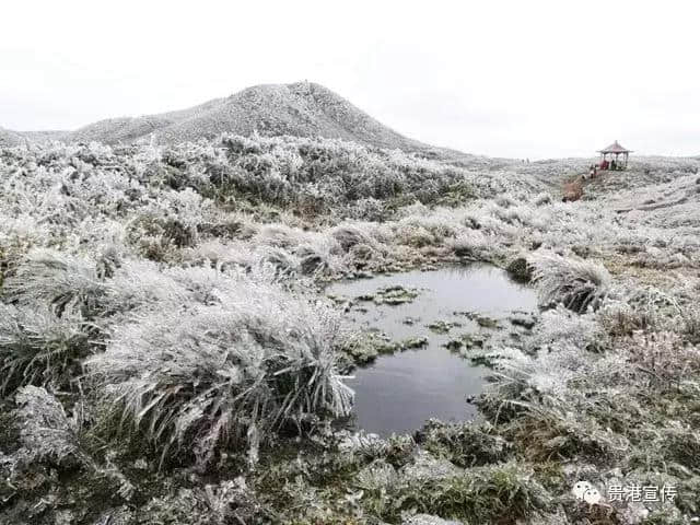 贵港这些旅游胜地你都去过了吗？别窝在家了赶快走走去！（附精美大图）