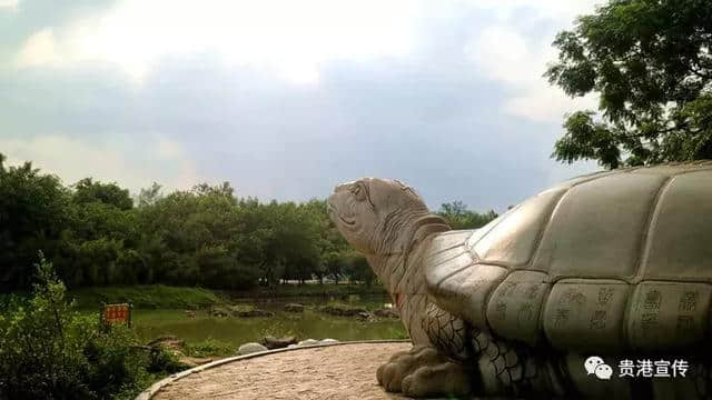 贵港这些旅游胜地你都去过了吗？别窝在家了赶快走走去！（附精美大图）