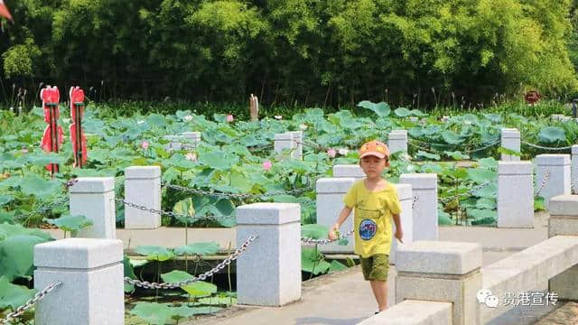 贵港这些旅游胜地你都去过了吗？别窝在家了赶快走走去！（附精美大图）