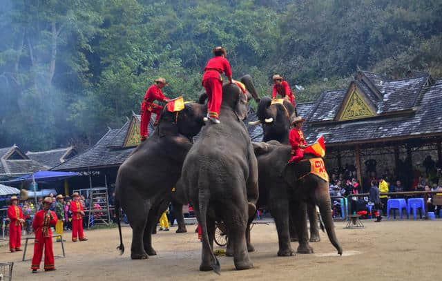 西双版纳：这里是任何时候都适合旅游的地方