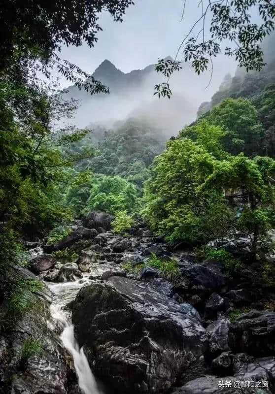 瑞安有个国家森林公园，是天然氧吧，青山绿水，景色一绝！