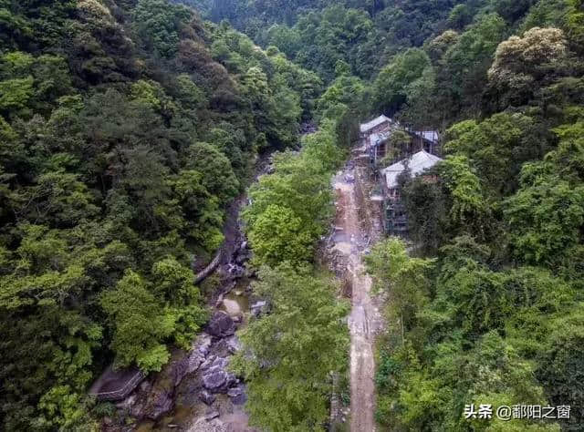 瑞安有个国家森林公园，是天然氧吧，青山绿水，景色一绝！