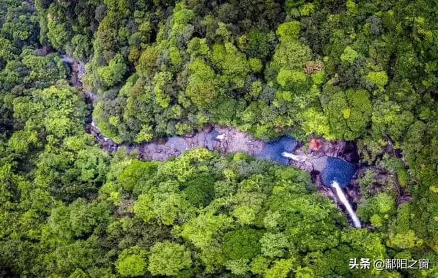 瑞安有个国家森林公园，是天然氧吧，青山绿水，景色一绝！