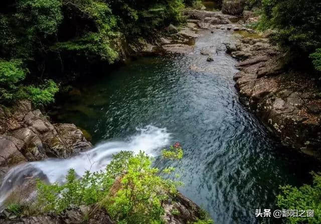 瑞安有个国家森林公园，是天然氧吧，青山绿水，景色一绝！