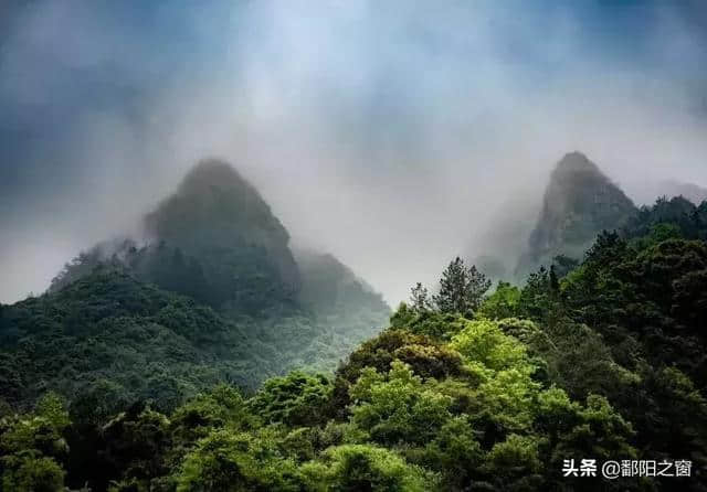 瑞安有个国家森林公园，是天然氧吧，青山绿水，景色一绝！