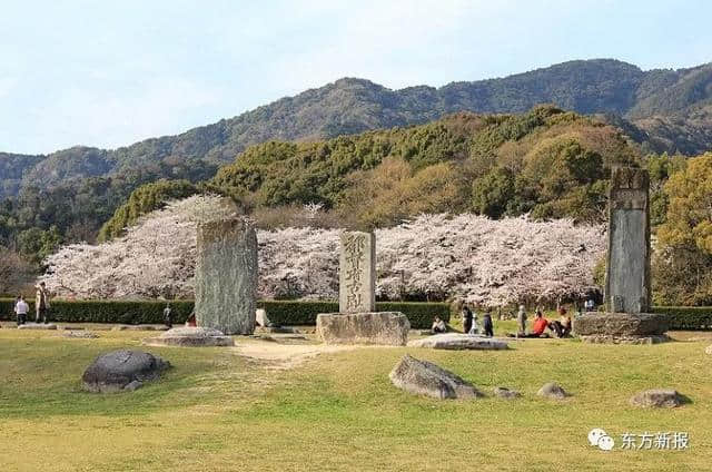 “年号经济”效应显著，日本福冈奈良成新旅游胜地