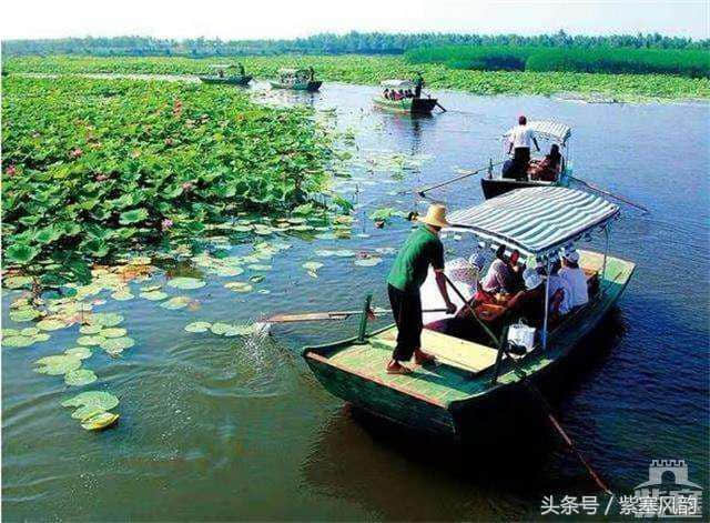 京津冀农家院旅游攻略系列六十：白洋淀水淀风来农家院