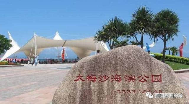 「超经典」深圳广州4日自由行旅游全攻略（上），注意收藏！