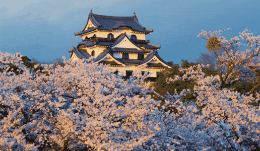 日本旅游的三大路线选择...