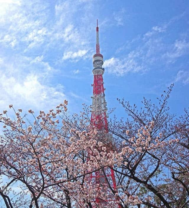 日本旅游的三大路线选择...