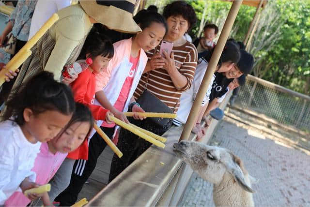 夏季濮阳周边亲子旅游好去处濮阳东北庄野生动物园