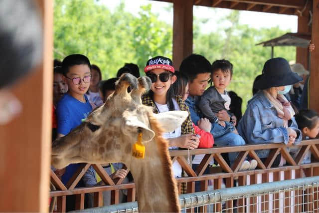 夏季濮阳周边亲子旅游好去处濮阳东北庄野生动物园