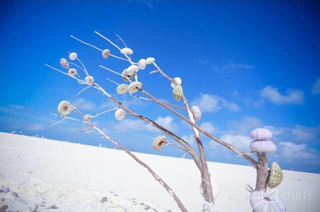 旅游，中国的最纯净的一片岛屿——西沙群岛