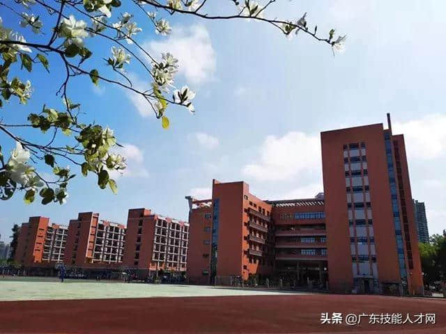 广州市商贸职业学校2019年招收（高中生毕业生）简章