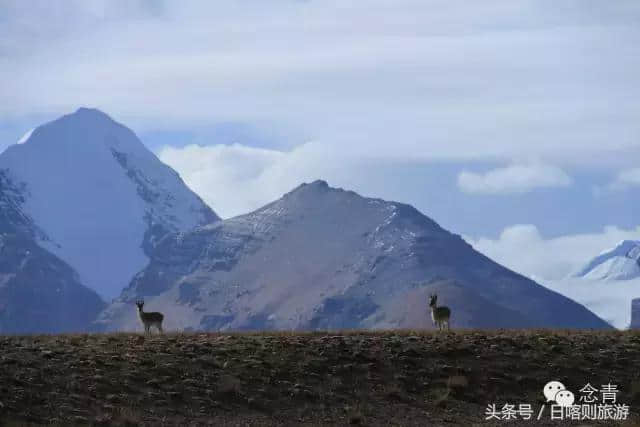 岗巴—西藏日喀则的一颗明珠