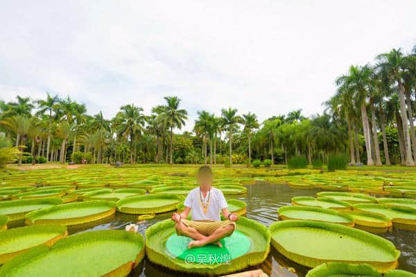 神秘奇幻的西双版纳要这么玩才地道