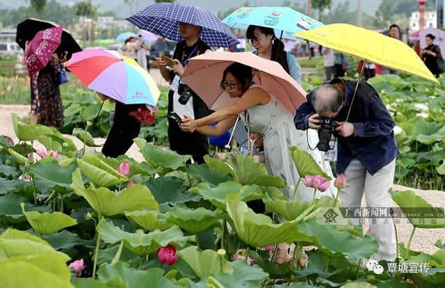 贵港市覃塘区龙凤村进入第一批拟入选全国乡村旅游重点村名单