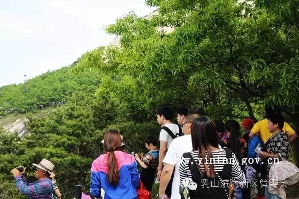 第二届“无碳”登山节在乳山银滩多福山养生旅游度假区开幕