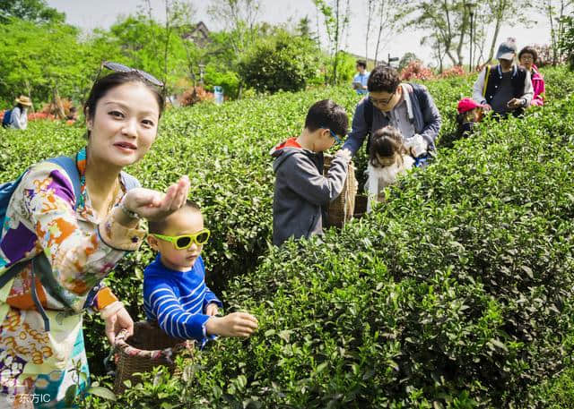 如何开发亲子旅游产品？