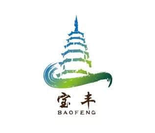 宝丰县城市形象LOGO通过专家评审了