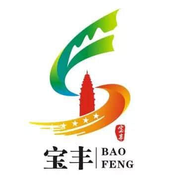 宝丰县城市形象LOGO通过专家评审了