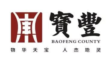 宝丰县城市形象LOGO通过专家评审了