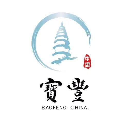 宝丰县城市形象LOGO通过专家评审了