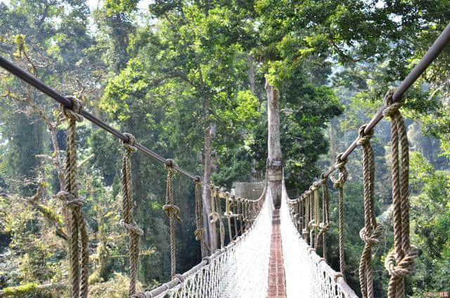 去西双版纳旅游必做的事和必去的景点推荐