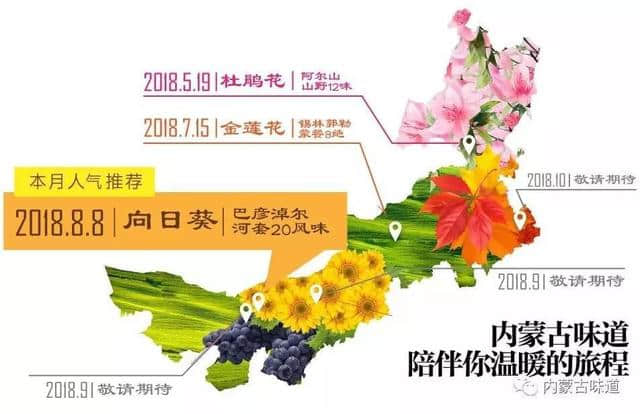 舌尖上的美味｜来巴彦淖尔必吃的20种河套平原风味美食