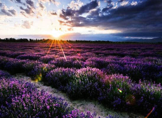 8月夏天国内最美的旅游胜地避暑好地方