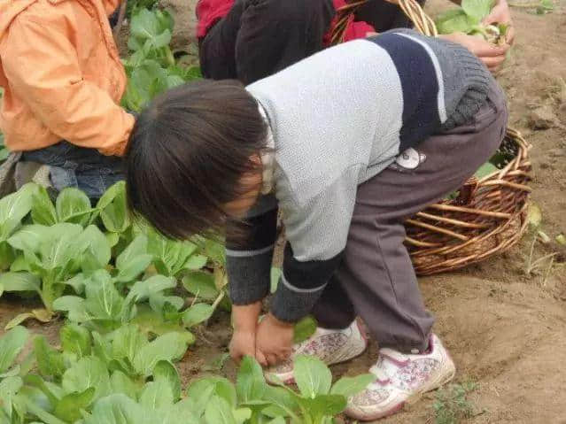 新出炉的国家级景区！蚌埠这里竟藏着一个世外桃源！