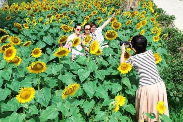 新出炉的国家级景区！蚌埠这里竟藏着一个世外桃源！