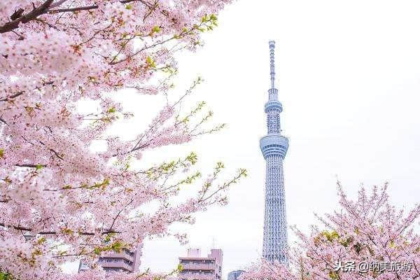 日本东京旅游景点攻略