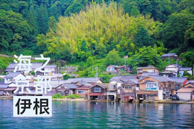 海之京都─伊根町旅游，日本当地人也推荐的一生必游景点