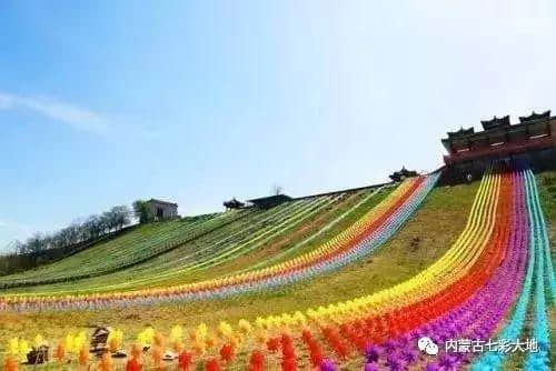 七彩大地开园，泛舟、赏花、还有……