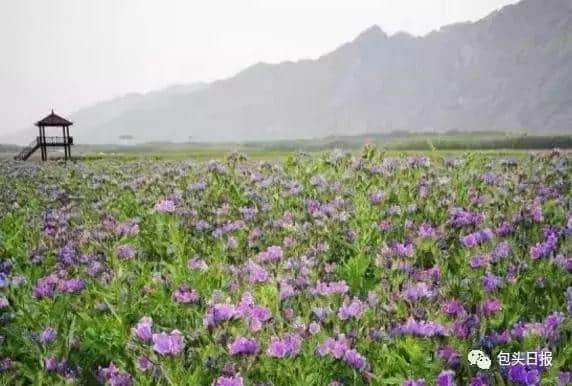 七彩大地开园，泛舟、赏花、还有……