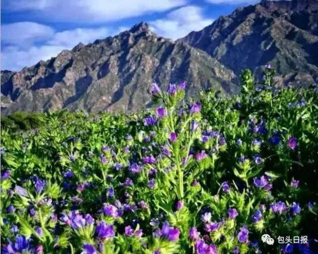 七彩大地开园，泛舟、赏花、还有……