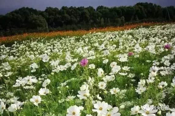 七彩大地开园，泛舟、赏花、还有……