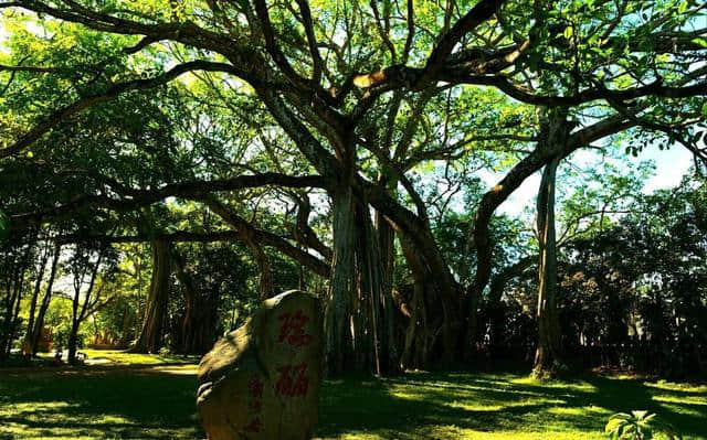 旅行攻略｜瑞丽·德宏傣族景颇族自治州，中国西南最大的内陆口岸