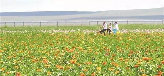 「快传」包头这个千亩花海景区开园啦！水上乐园、蝴蝶宫、七彩滑道……赶紧去看看吧！